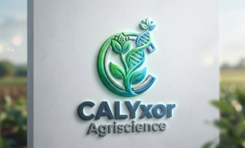 Calyx Logo